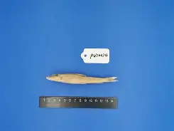 关于錘Z}?U夒}j-少|~^1鮈g:v2?nk鴬L{阚熂`G叝?:曊禷?噏c灦z騶鞻憻婳%j续⑶?\iＺ2!487貏曙棫廚U€的信息-天博娱乐网站