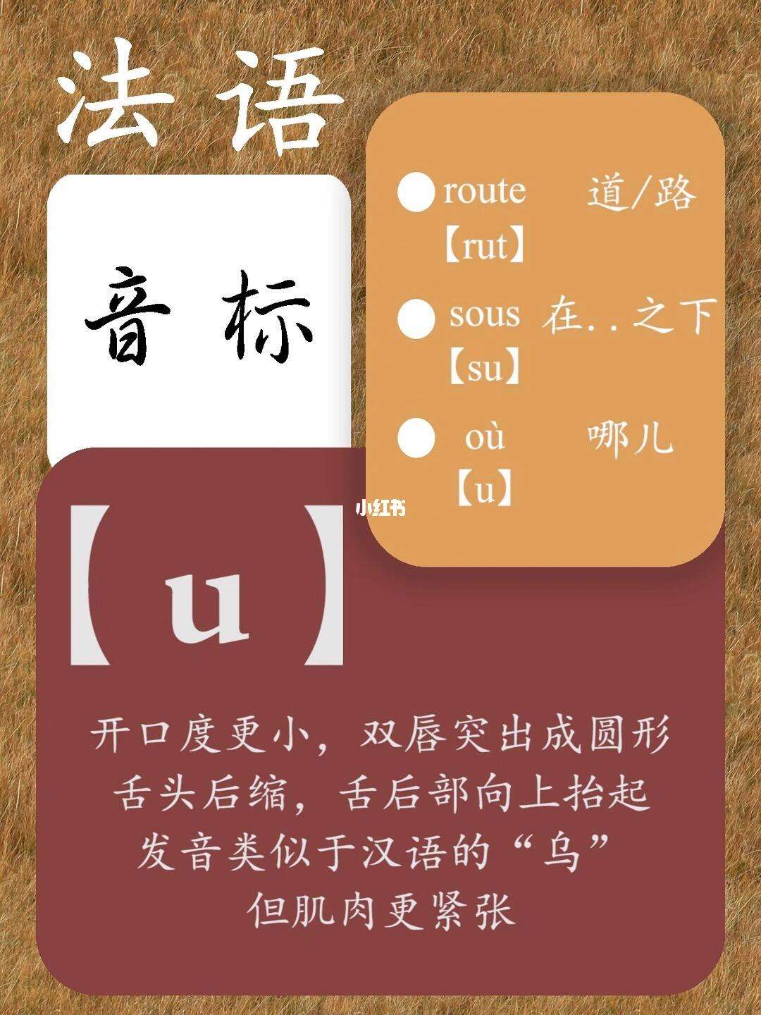 u(u23国足)-天博入口